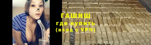 гашик Козельск