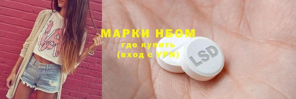 гашик Козельск