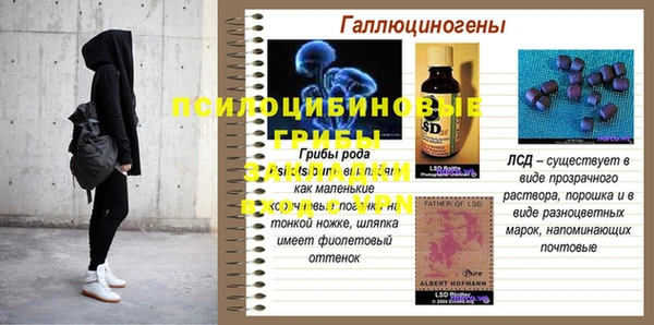 мет Коряжма