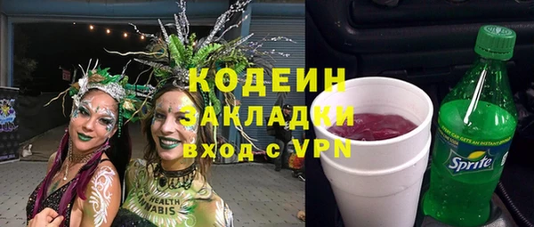 гашик Козельск